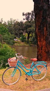 Cycling the Yarra