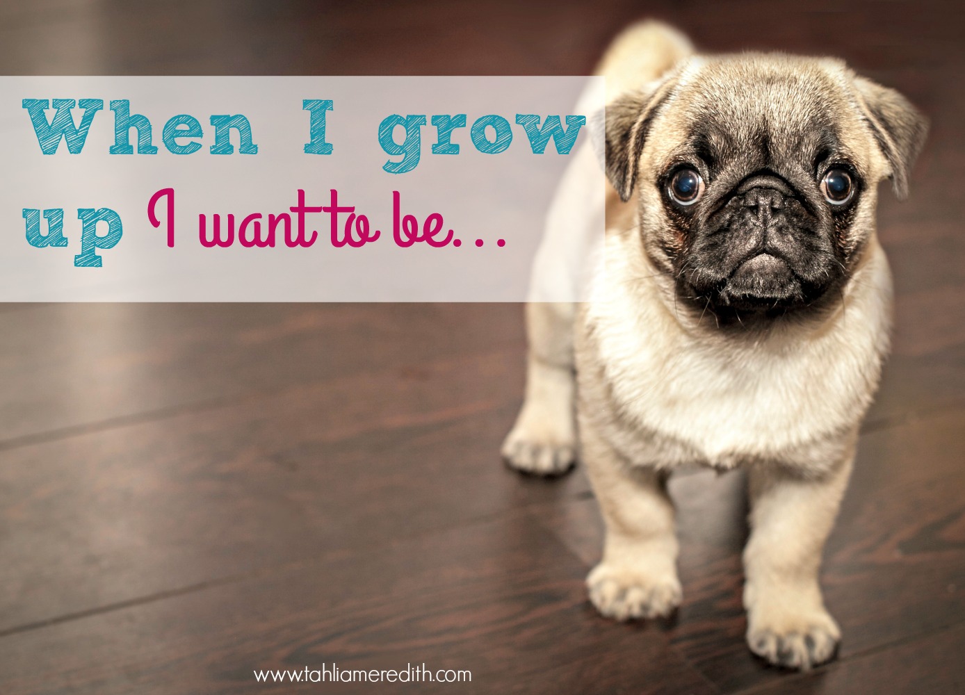 When I grow up I want to be…
